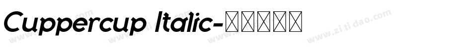 Cuppercup Italic字体转换